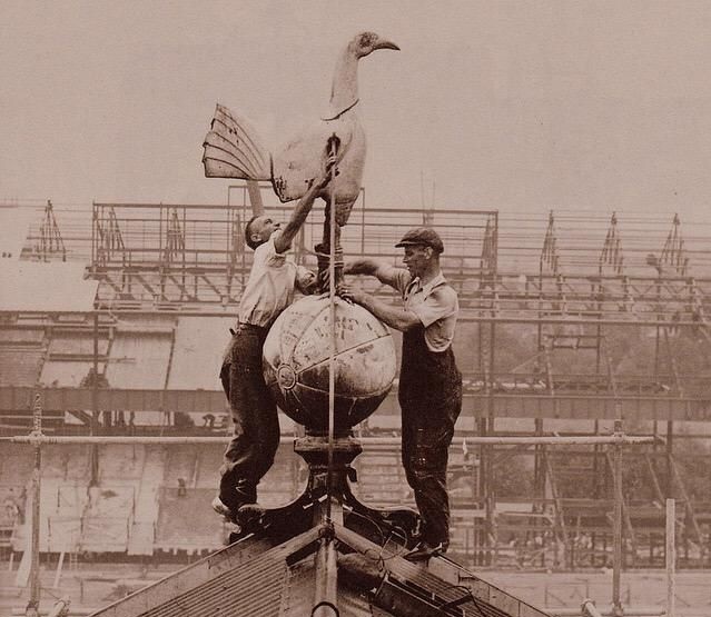 Why the shield of Tottenham Hotspur is a rooster on a ball?