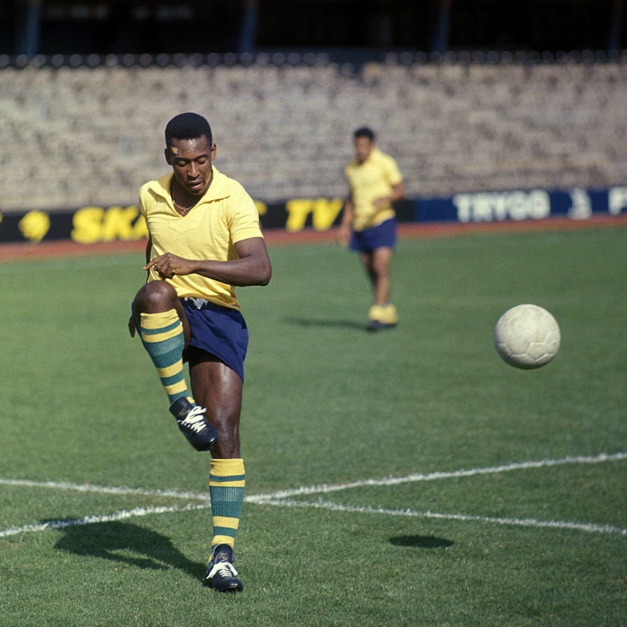 world 1966: All against Pele's Brazil